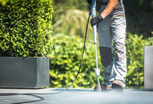 Best Warehouse Cleaning  in Los Fresnos, TX