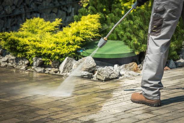 Best Concrete Sealing  in Los Fresnos, TX