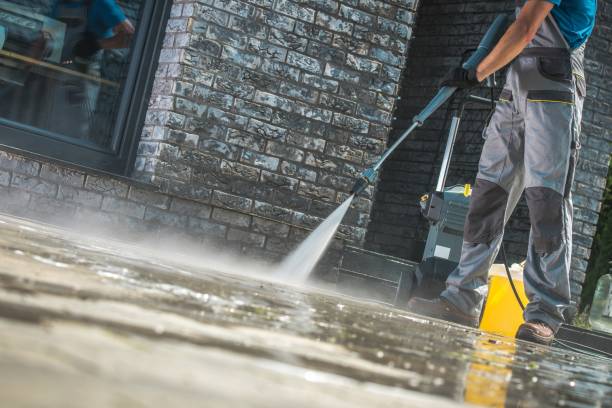 Best Gutter Cleaning  in Los Fresnos, TX