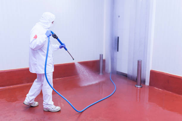 Best Parking Lot and Garage Cleaning  in Los Fresnos, TX