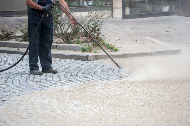 Best Patio and Deck Pressure Washing  in Los Fresnos, TX