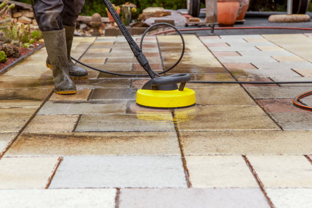 Best Factory Floor Cleaning  in Los Fresnos, TX
